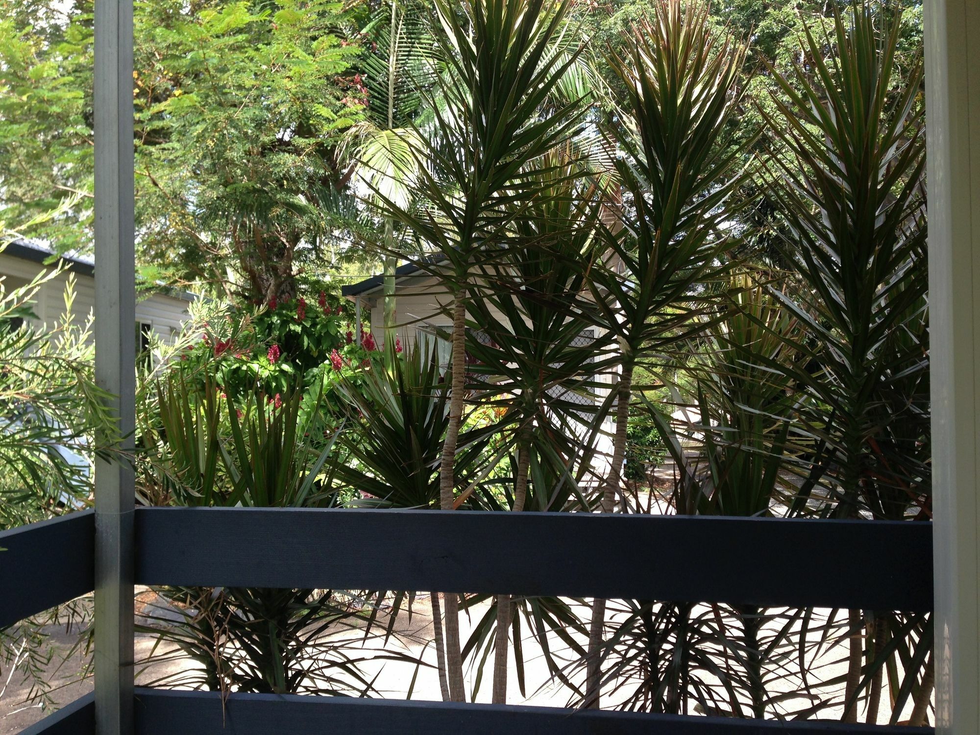 Riverside Tourist Park Rockhampton Exterior photo